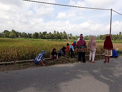 Goro bersama di Nagari Kinari - foto 2